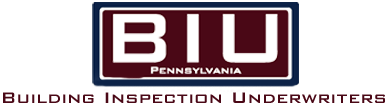  BIU logo